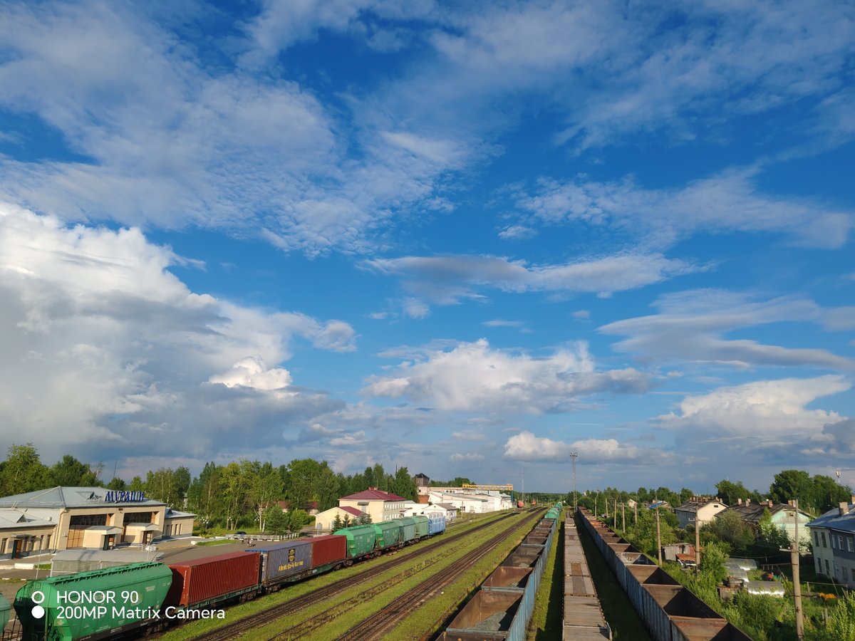 Railway yard visit with local scenery and quirky ant statue