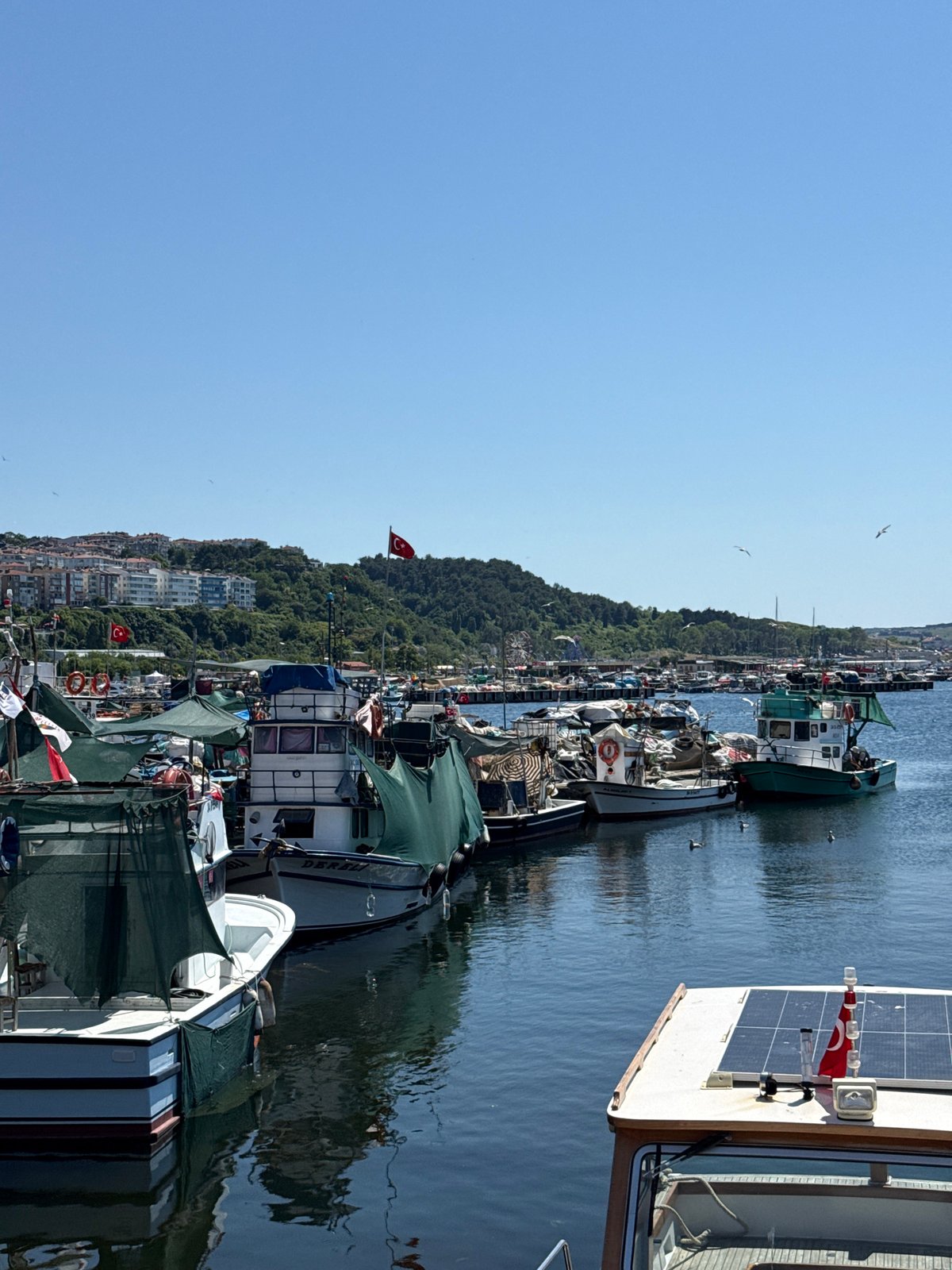 Şile harbor: boats, calm water, and local signage