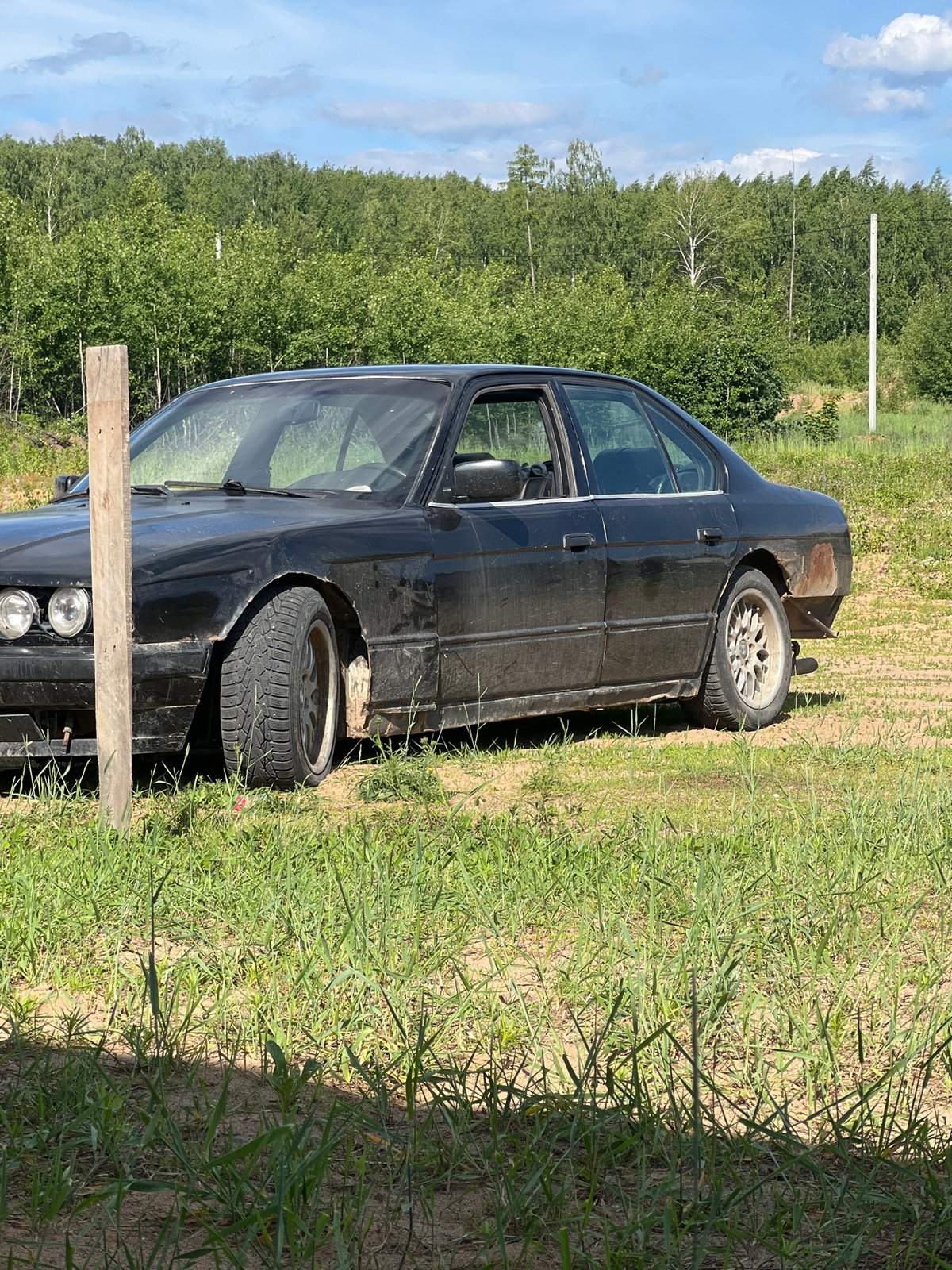 Daily construction and gardening work documented in Noviy, Russia