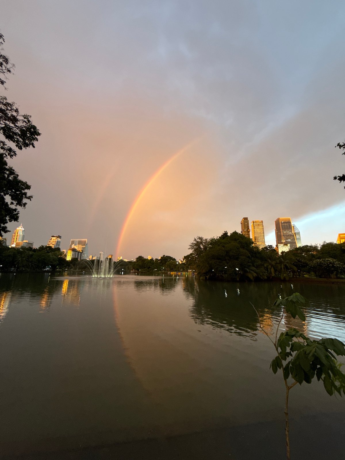 Wildlife and rainbows at Lumpini Park after the rain