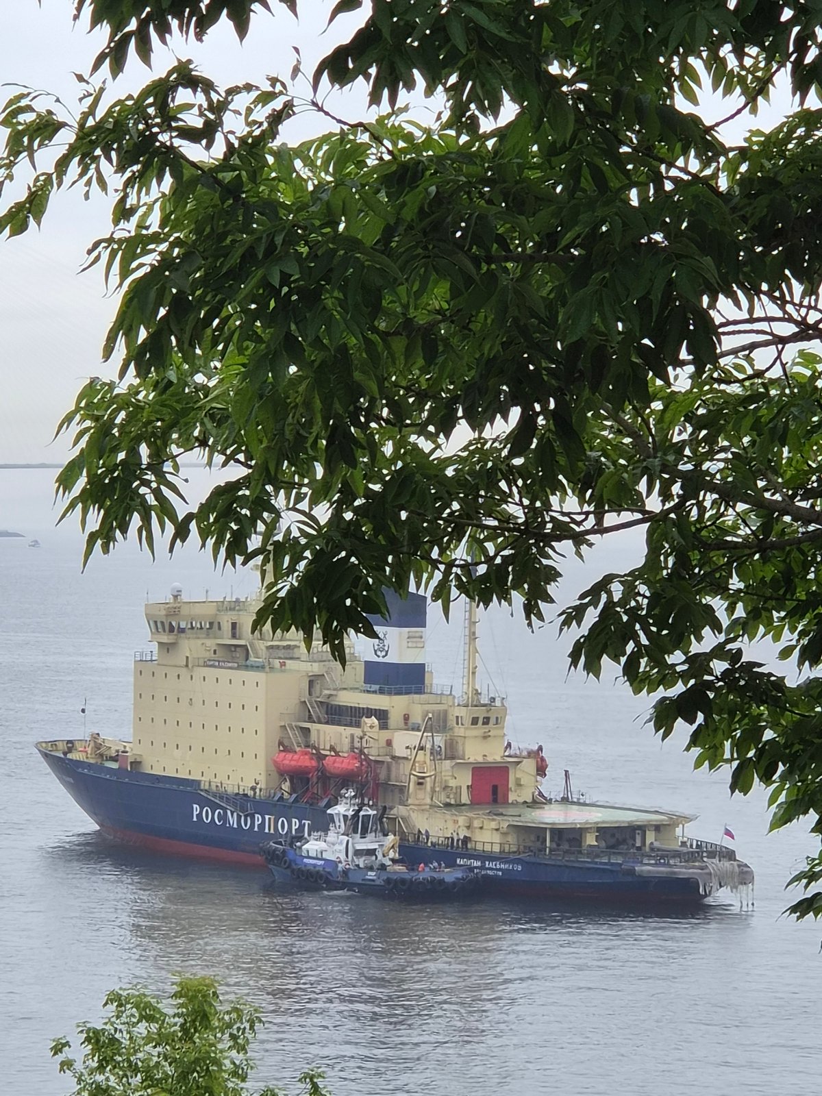 ROSMORPORT icebreaker docked in Vladivostok's Golden Horn Bay