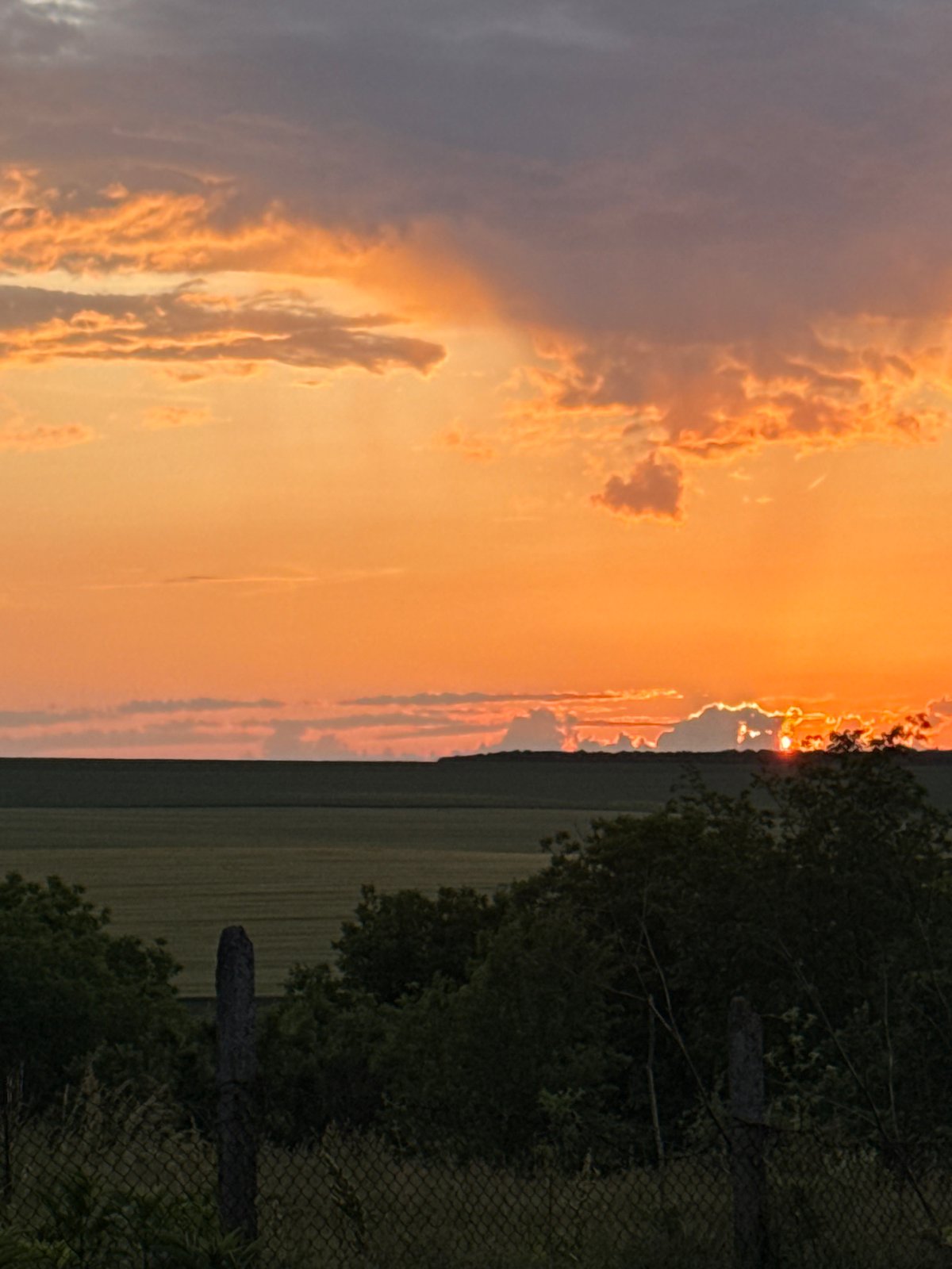 Sunset and dog portrait captured in rural Zornitsa, Bulgaria