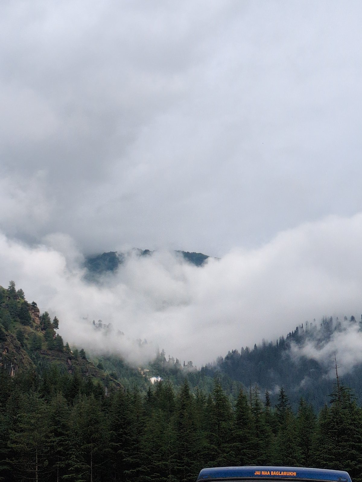 Street scenes and pine forests around Manali on a grey afternoon