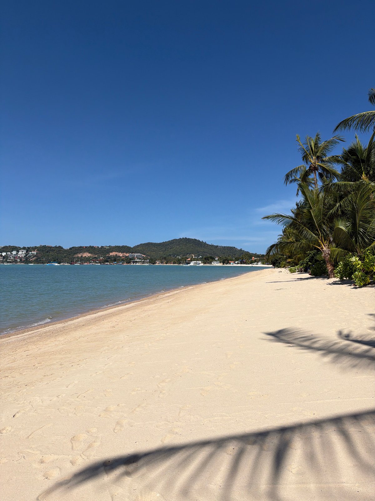 Lazy morning on a Ko Samui beach