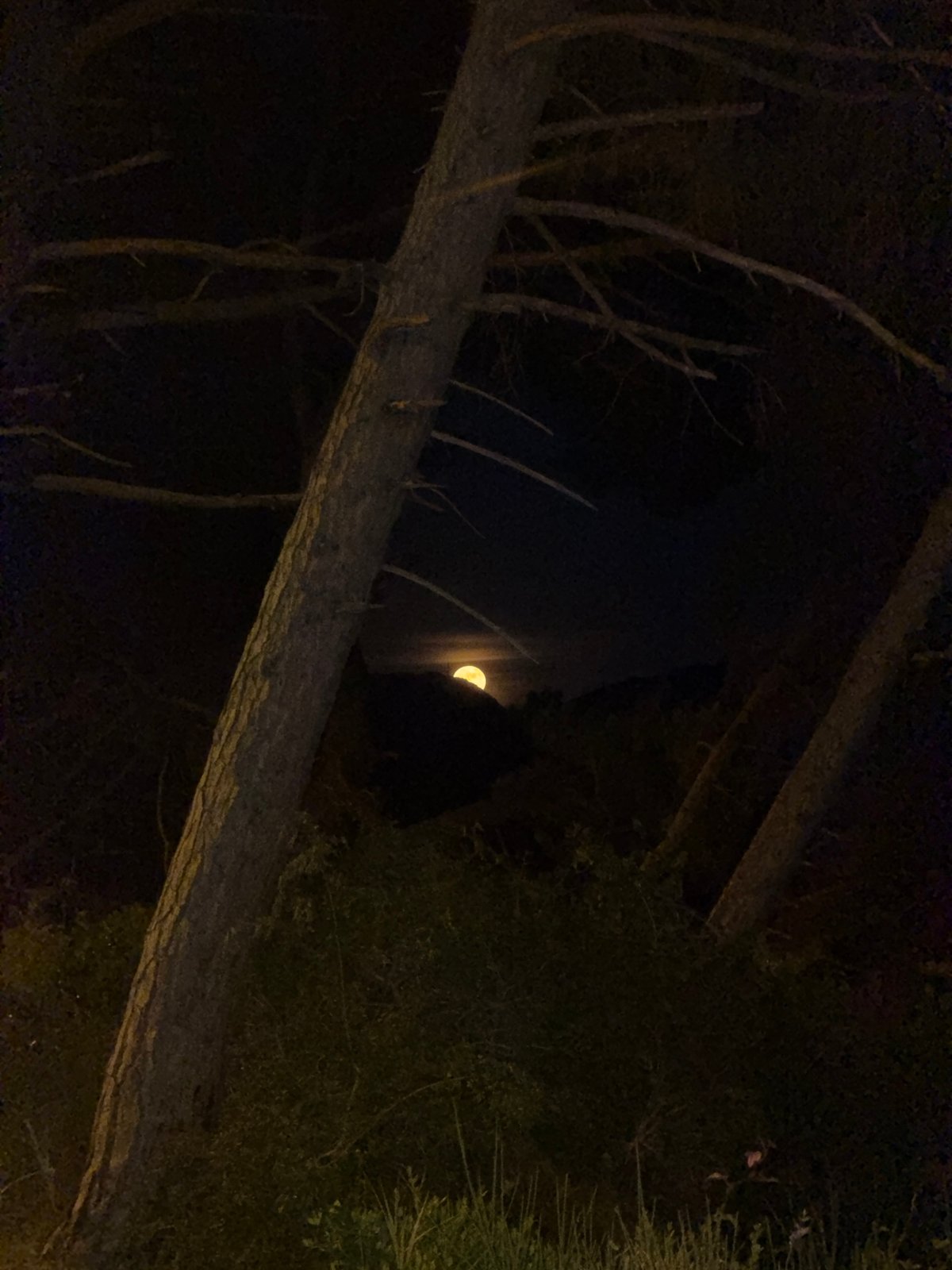 Montenegro moonlight captured across two coastal locations