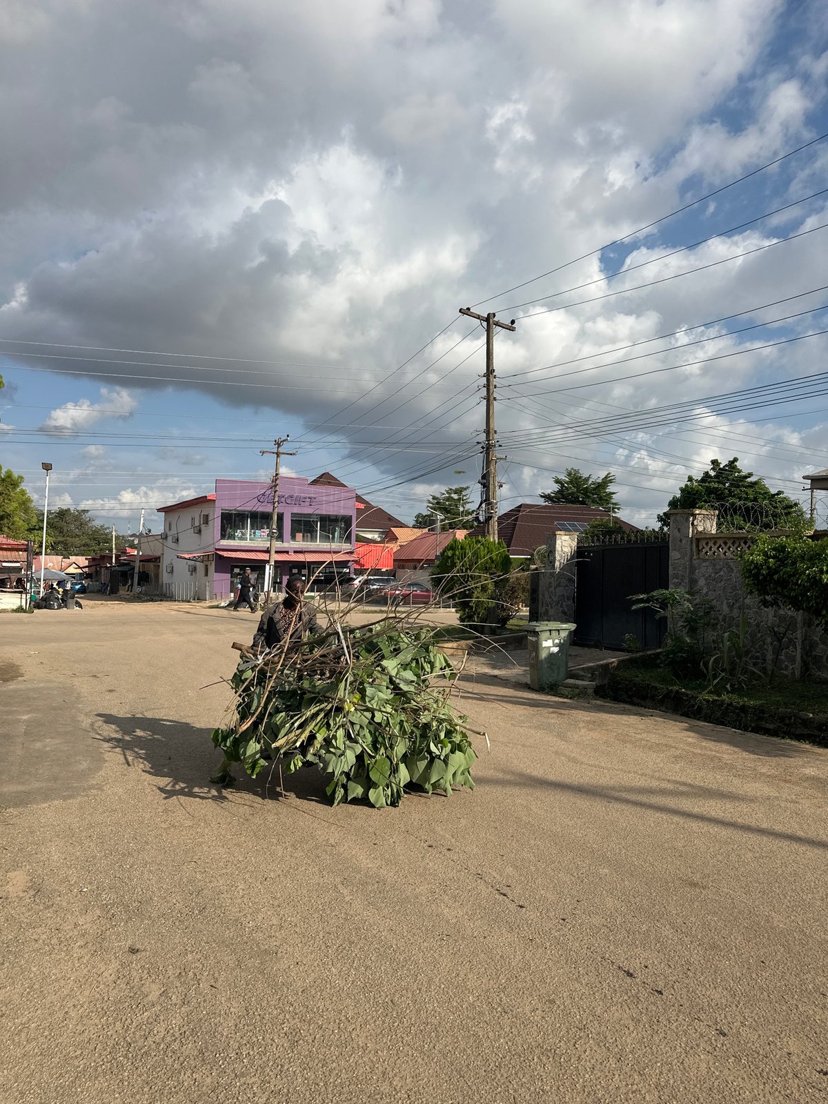 Cut foliage piled on an Abuja roadside near a purple building