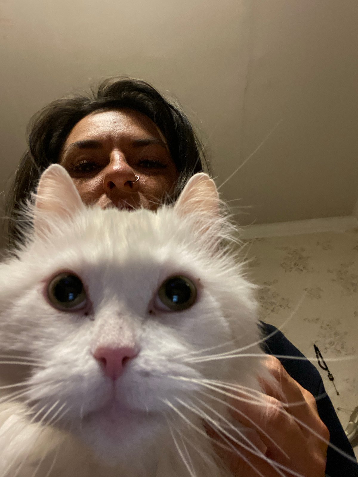 Person with white cat photographed in Khimki, Russia