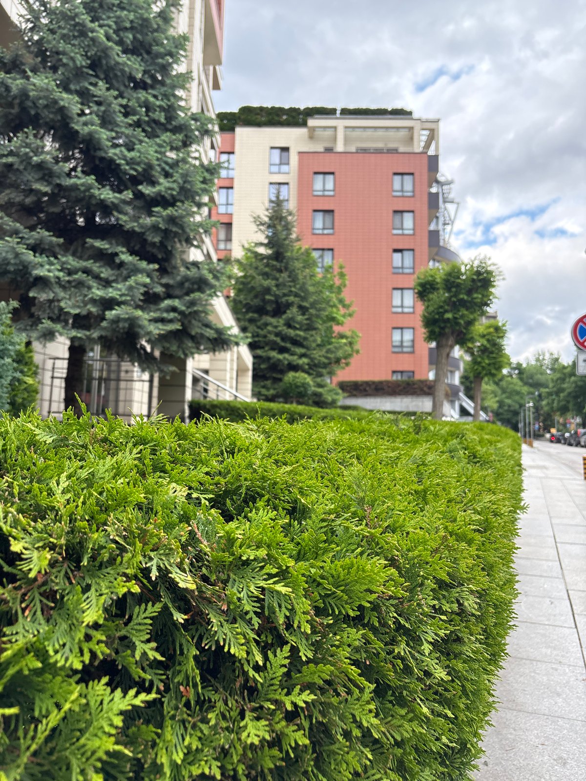 Urban streetscape documented in Sofia, Bulgaria
