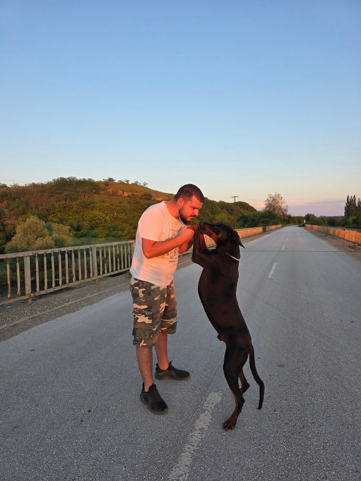 Man shares affectionate moment with Doberman on road during sunset
