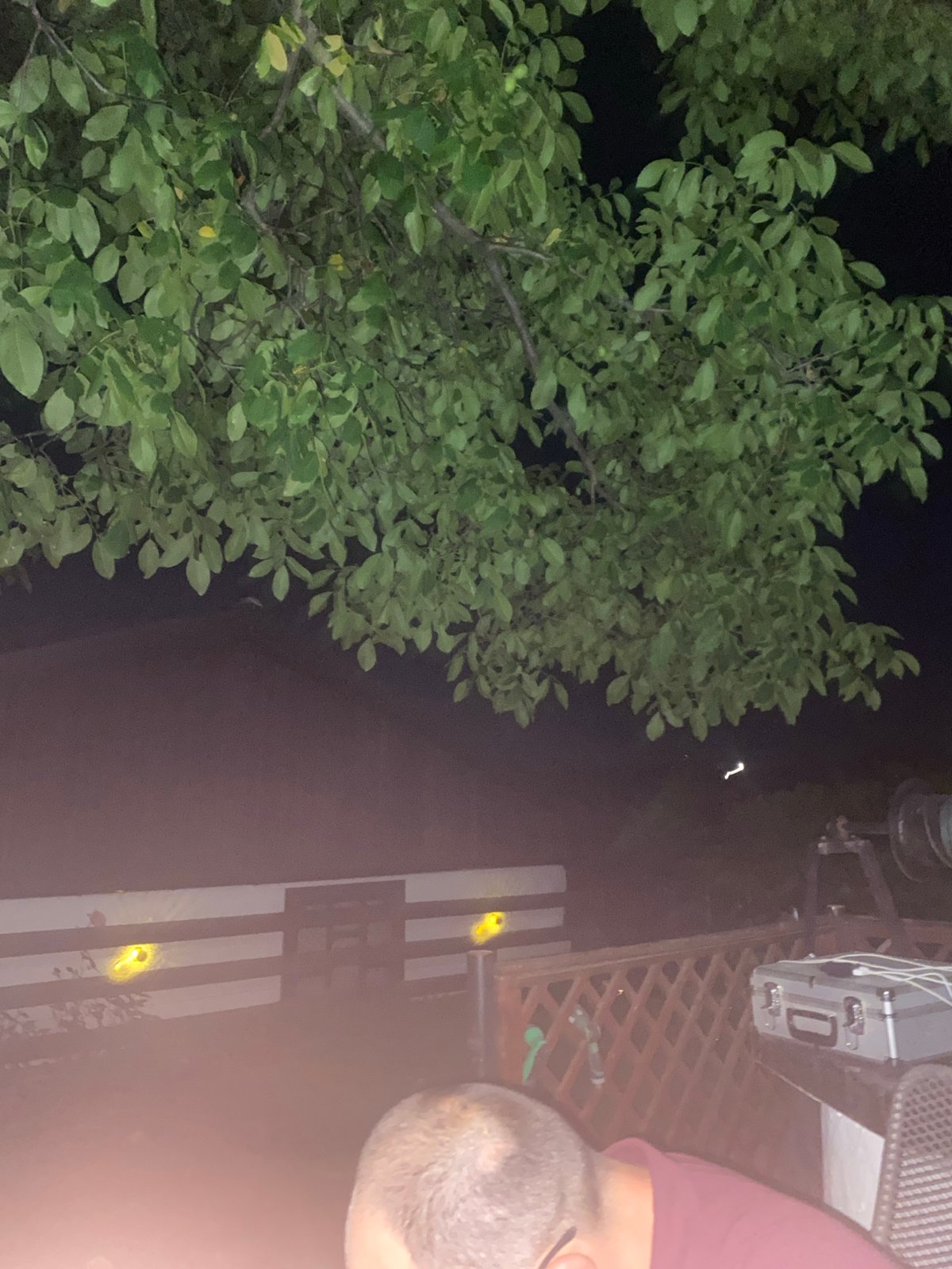 Midsummer evening in a Romanian backyard garden