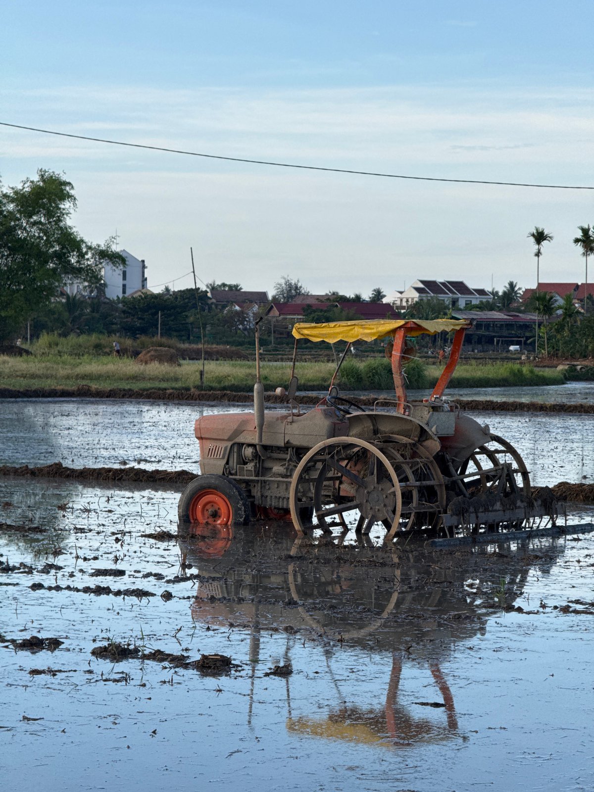 Tractor stuck in flooded rice paddy in Đà Nẵng