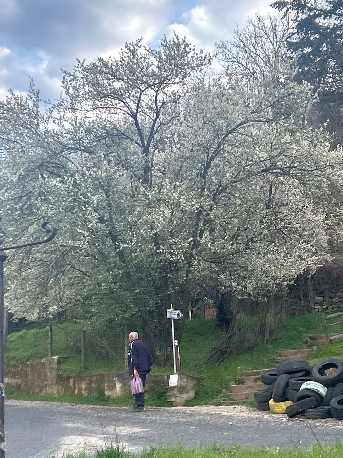 Young man photographed on spring afternoon in Zlatograd, Bulgaria