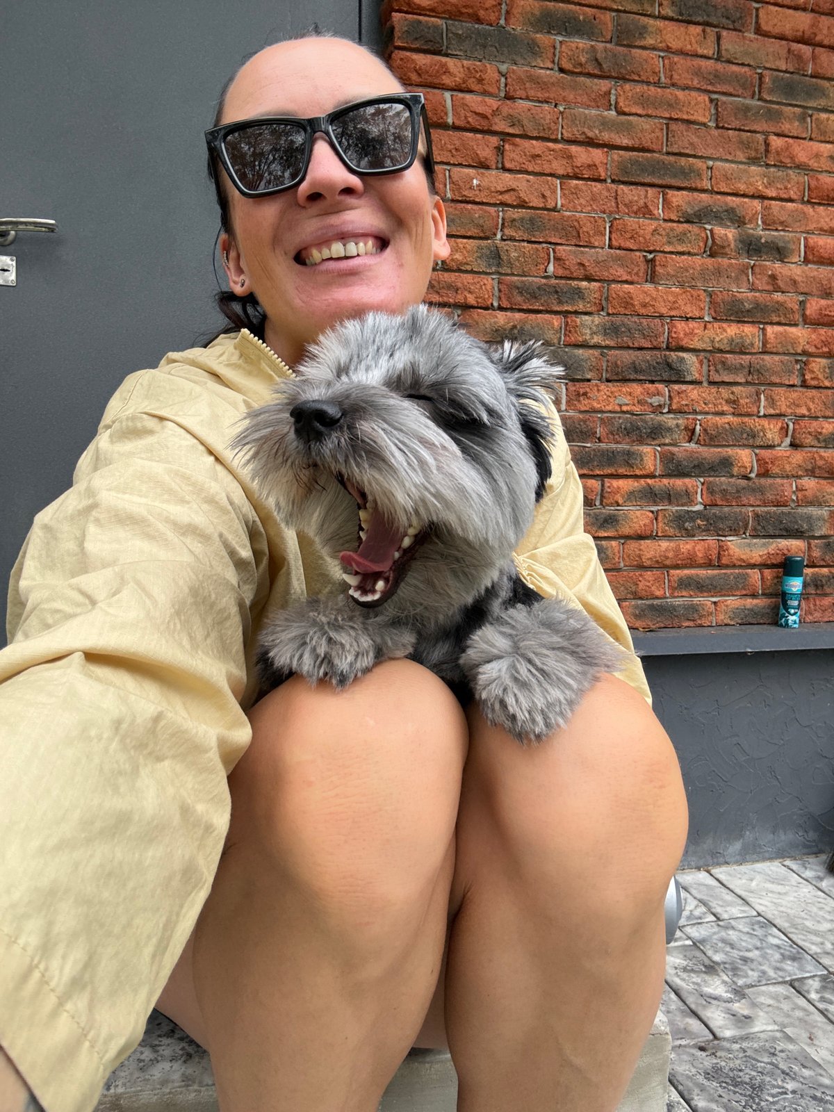 Casual morning out with a small gray dog in Chaikovsky