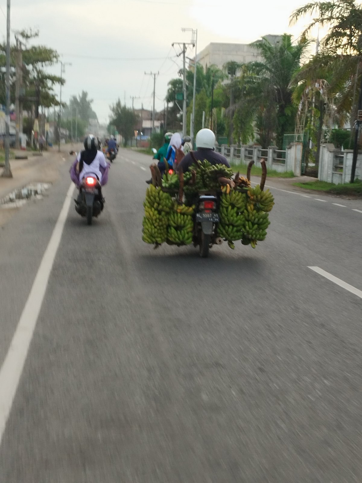 Motorcyclist transports large banana load through Lhokseumawe streets