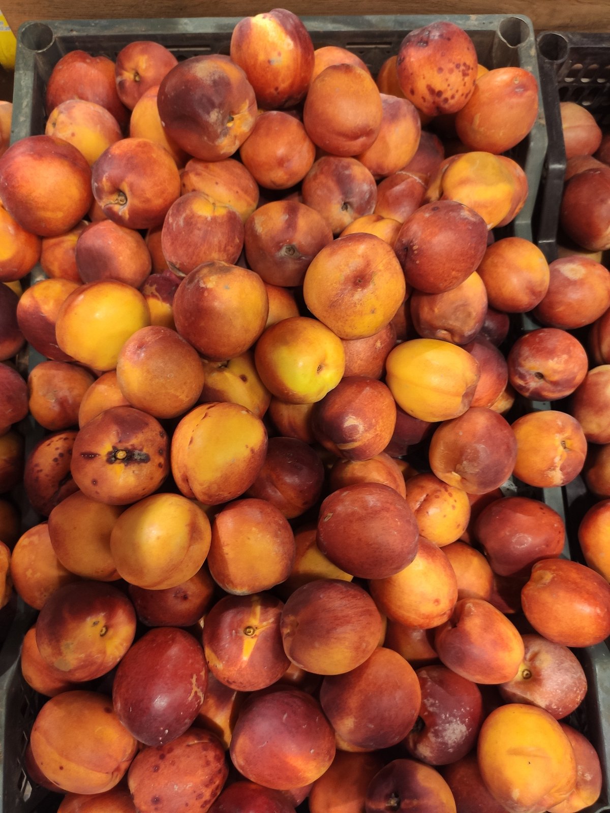 Fresh fruit, soda shelves, and produce browsing at a Tashkent market
