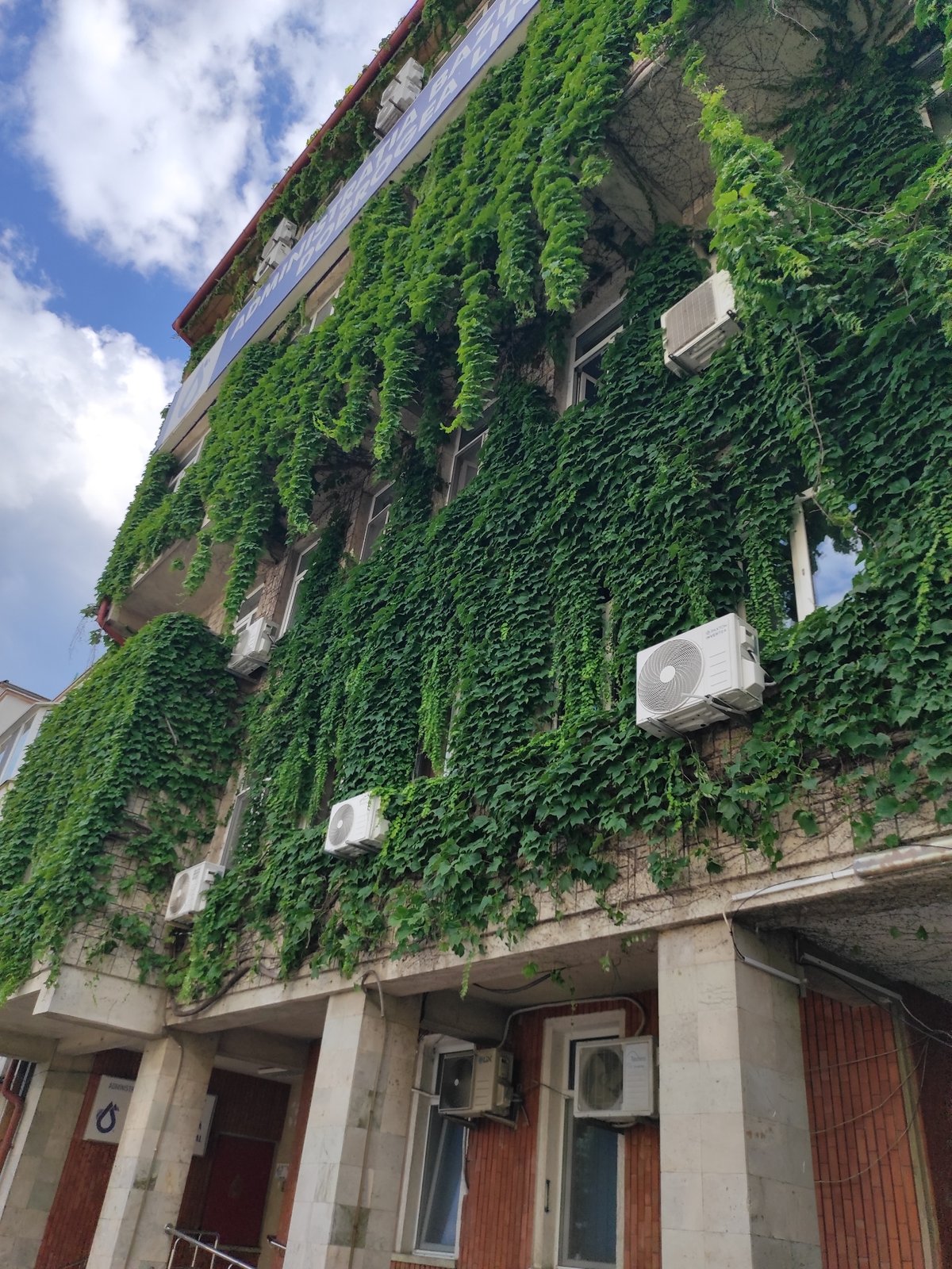 Ivy-covered café and lavender streets in Constanța, Romania
