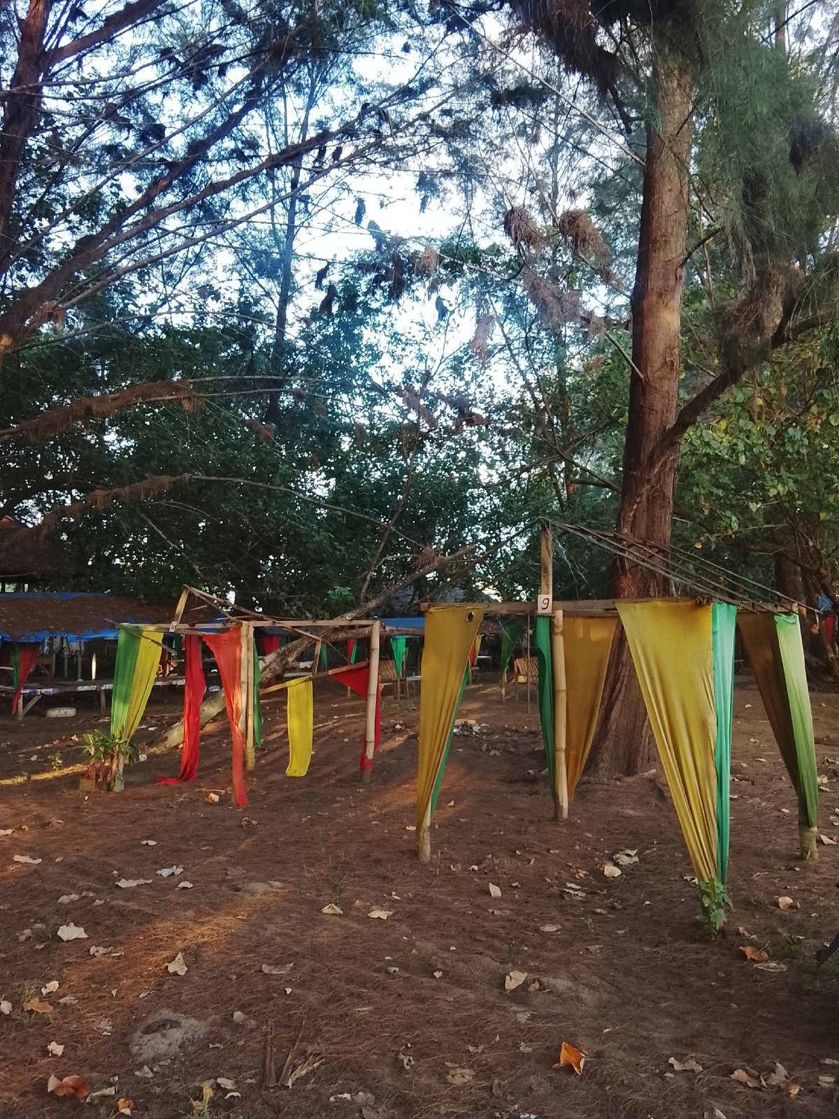 Beach, forest, and rustic shelters along the Reudeuep coastline