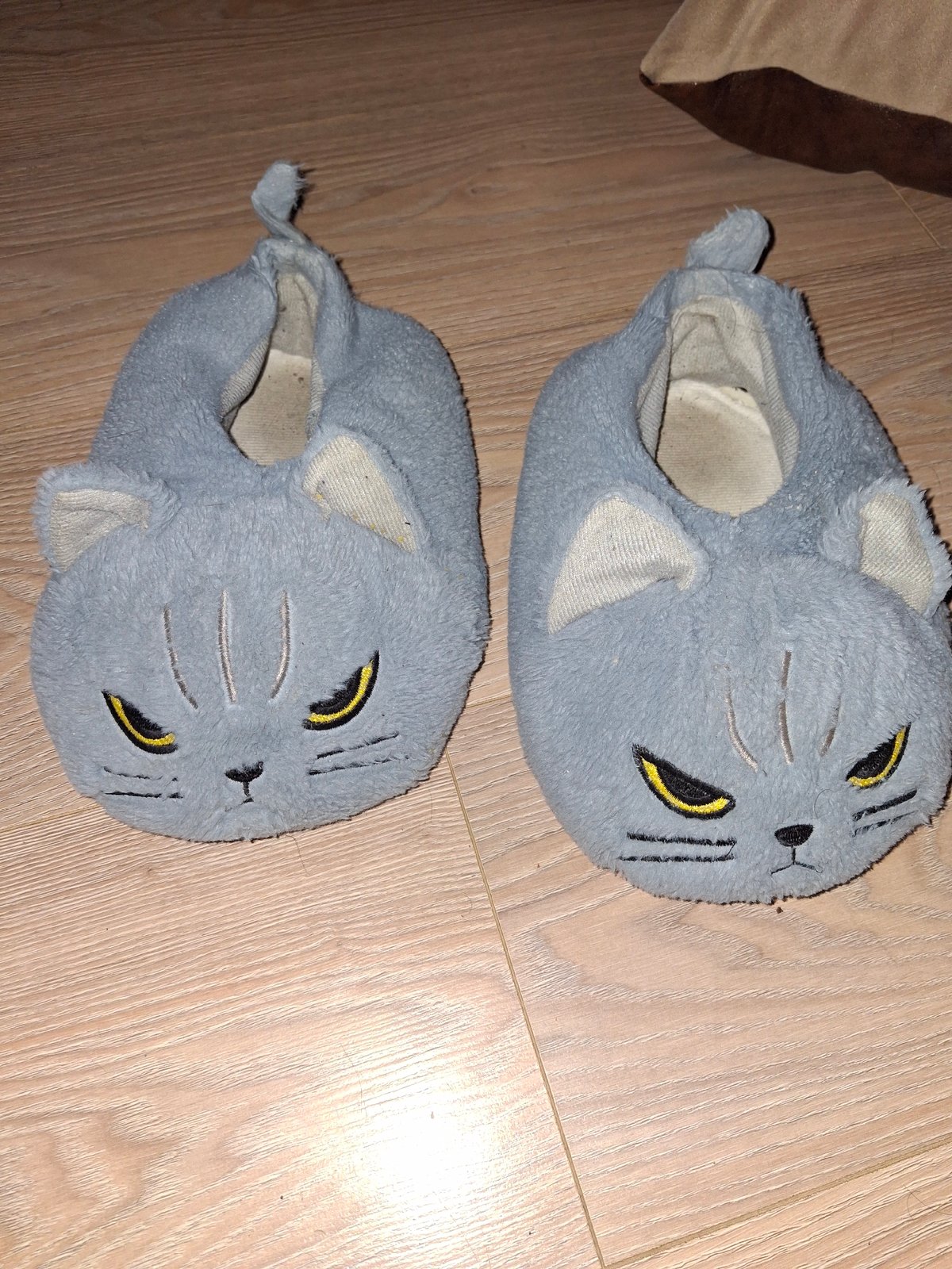 Cat slippers and dog walking captured in Varna