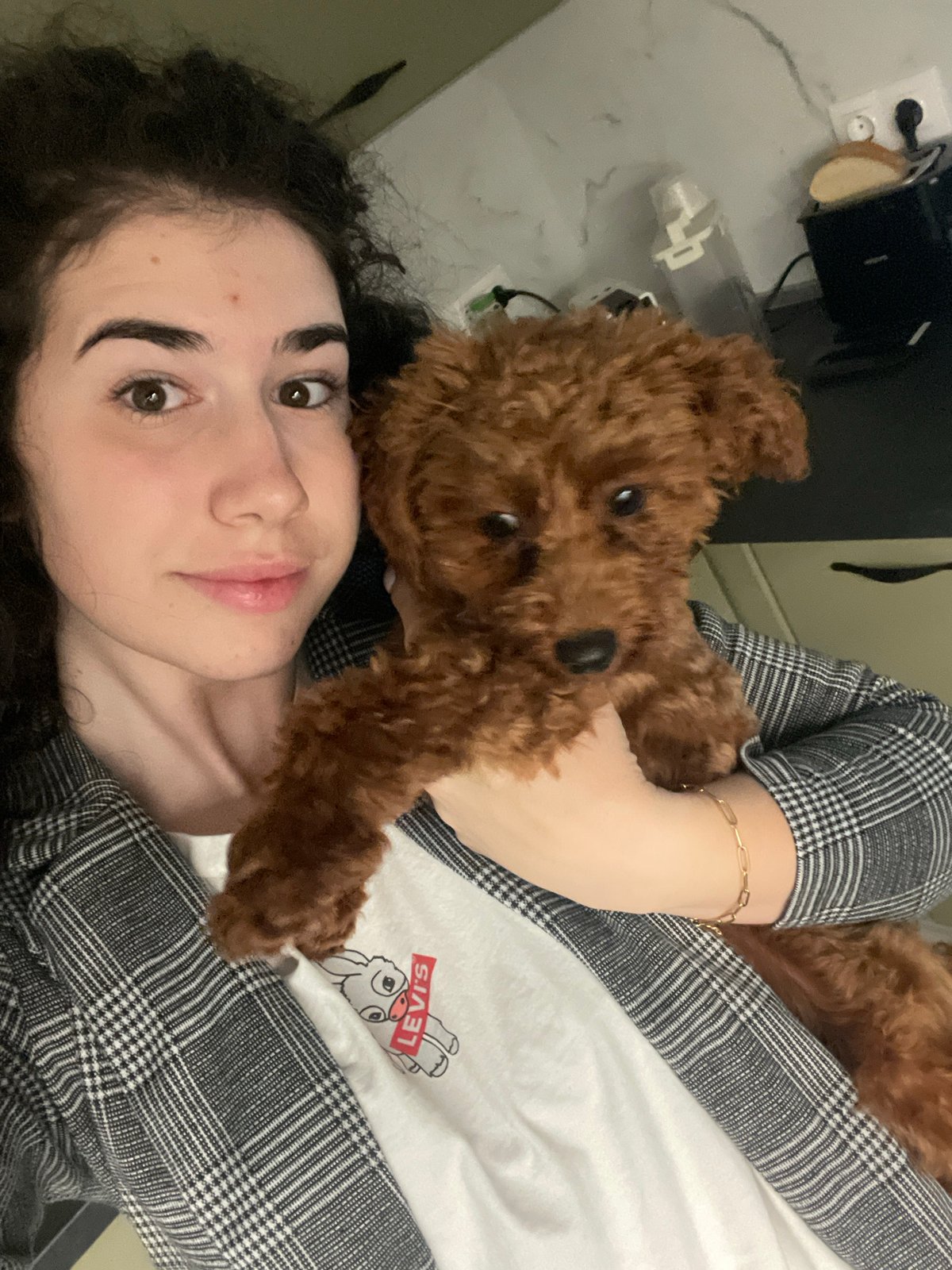 Woman and brown poodle share quiet moments in Sofia