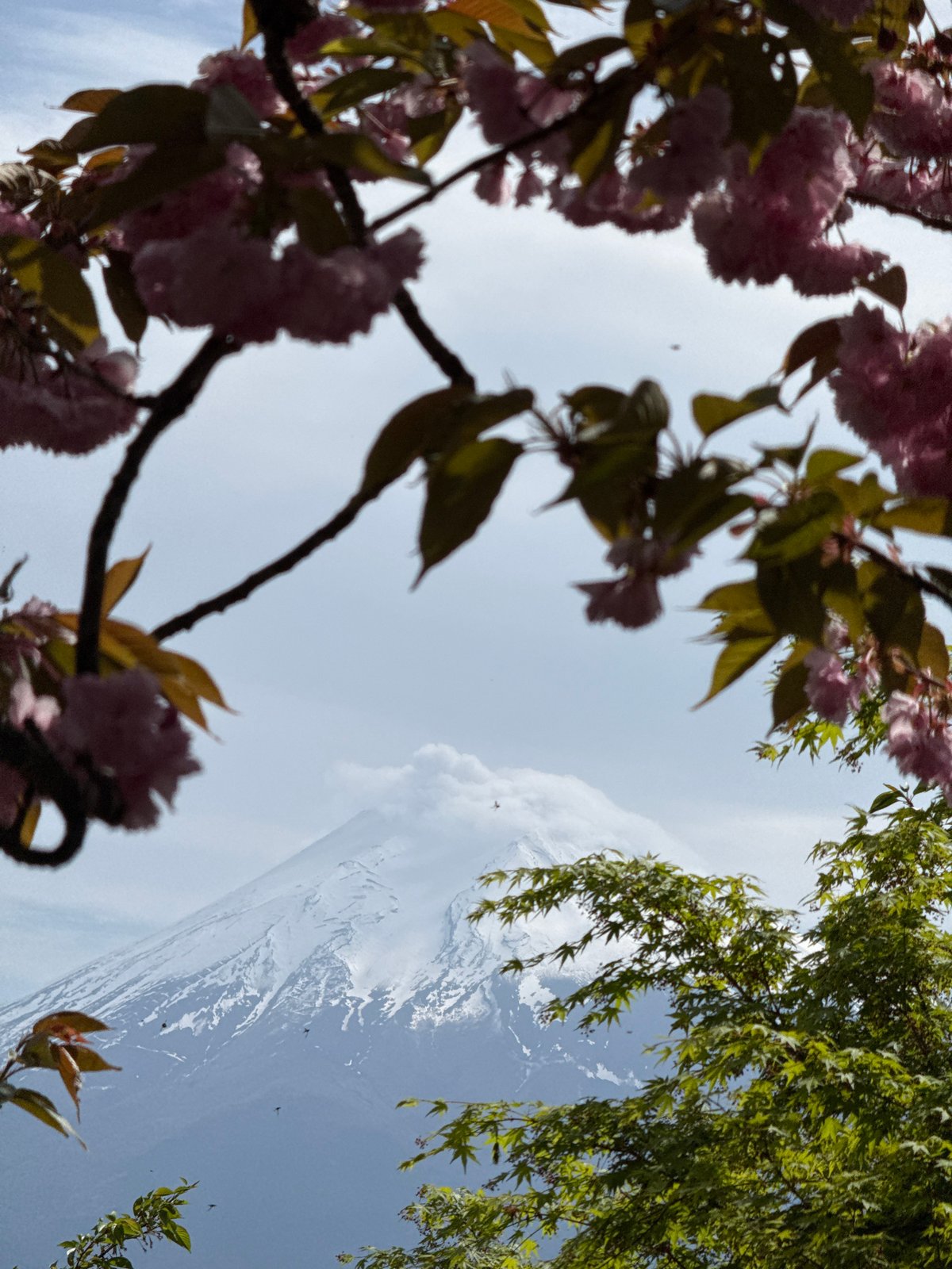 Early morning scenes documented around Mount Fuji in Fujiyoshida