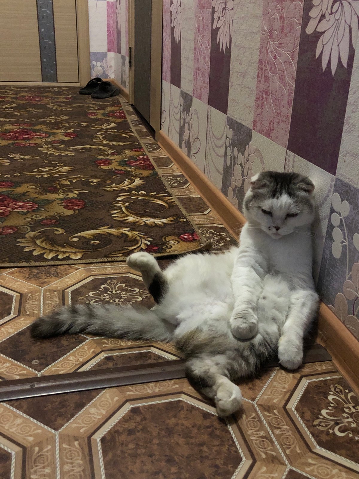 Woman documents playful selfie session in Noviy, Russia