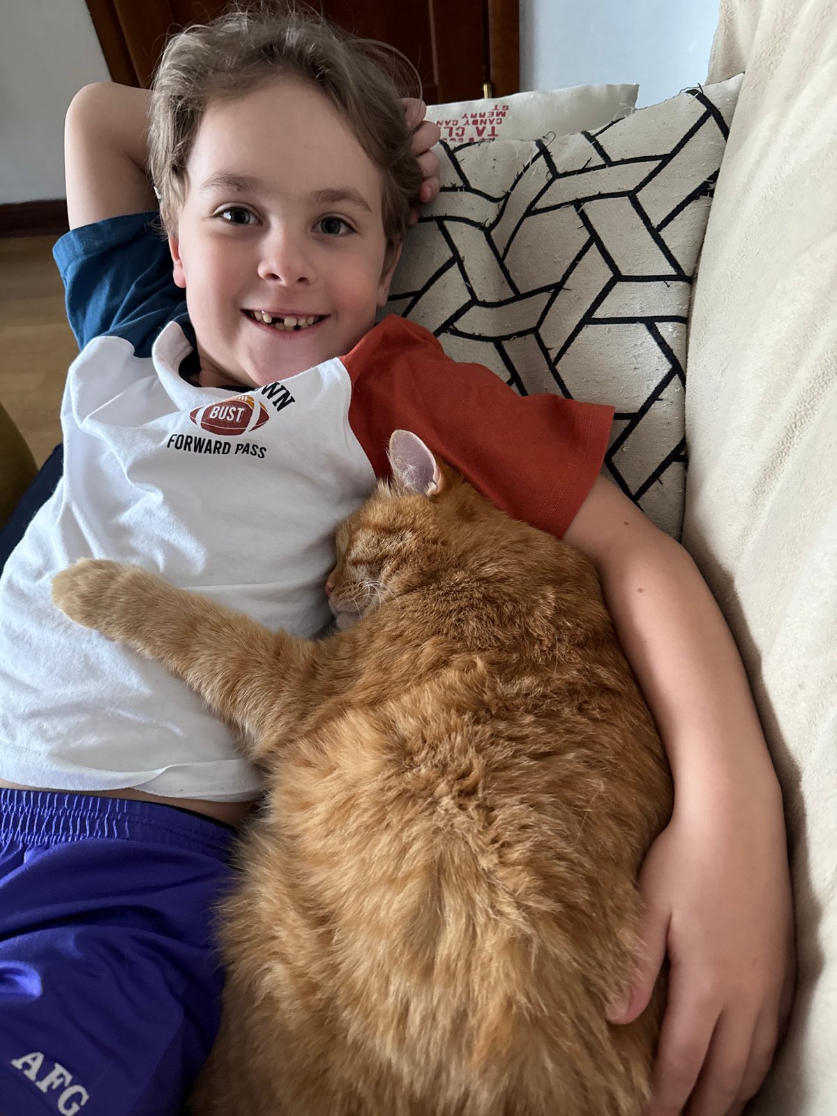 Boy and cat share quiet afternoon in Krasnoyarsk apartment
