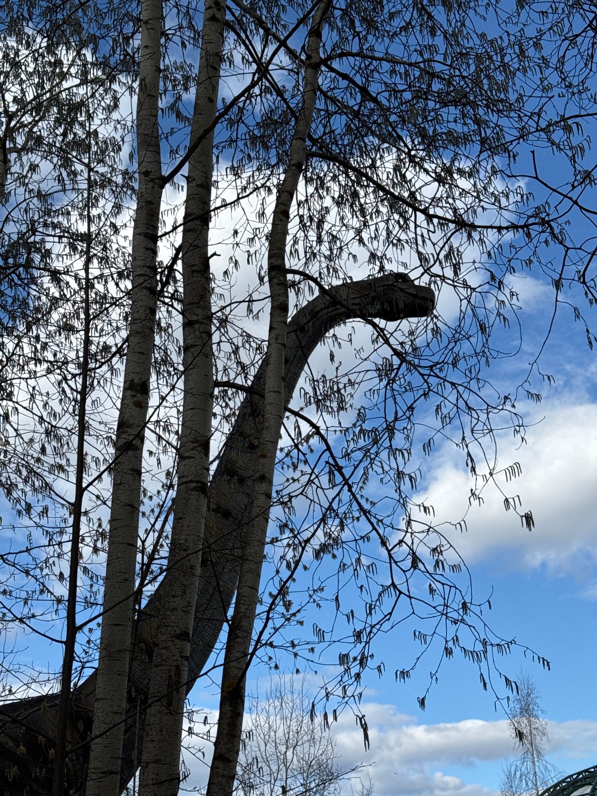Families visit dinosaur park with animatronic exhibits in Izhevsk