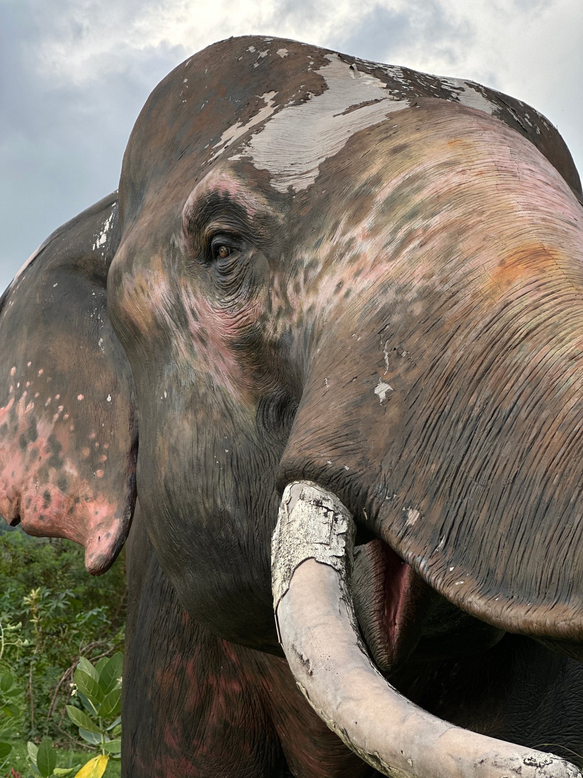 Rural life and elephant statues documented in Chalong, Thailand