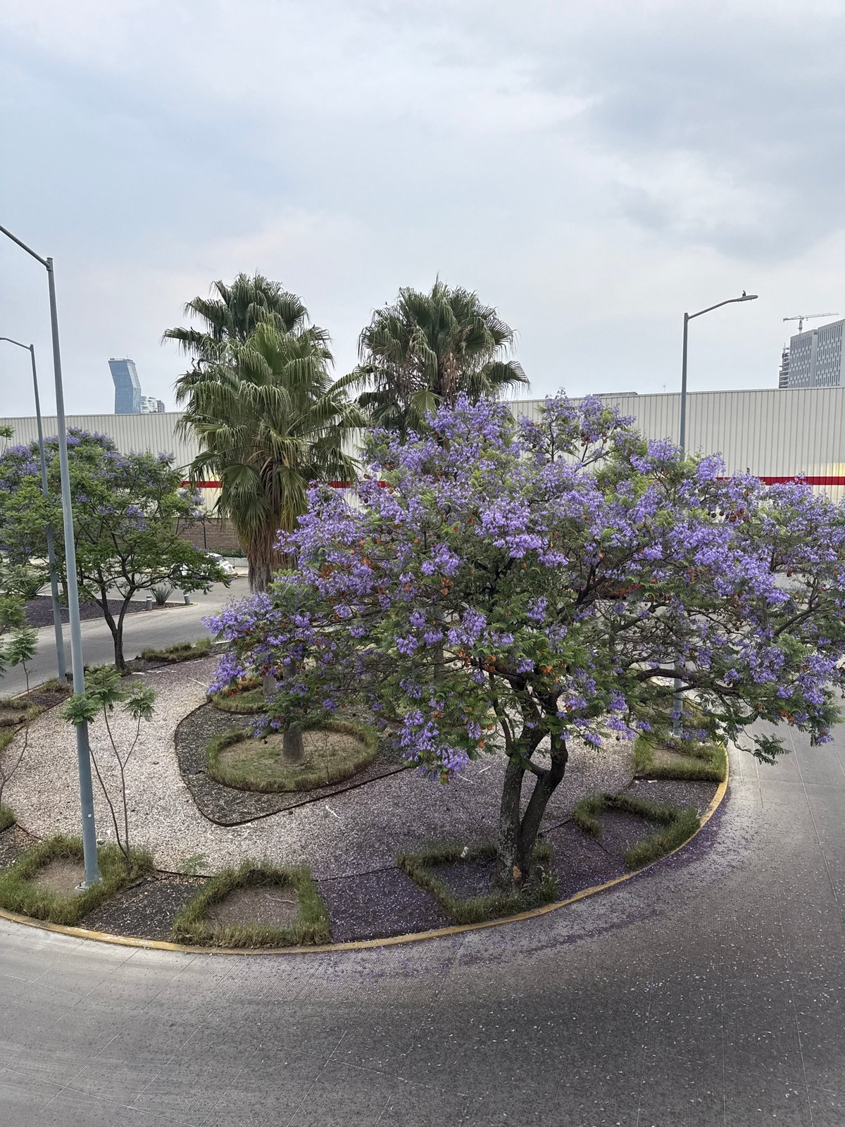 Late-night documentation of Puebla's urban landscape and amusement park