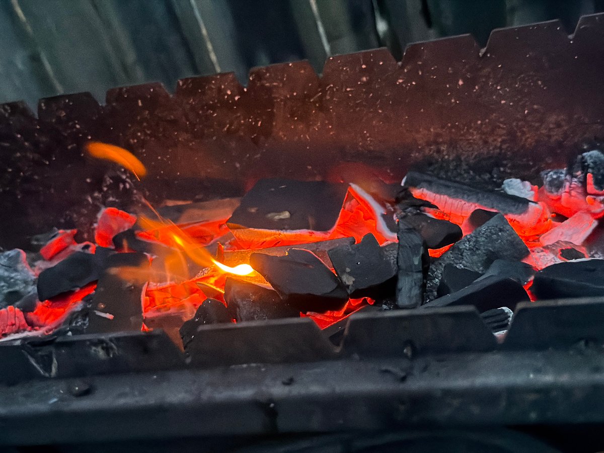 Beekeeper tends hives, prepares charcoal grill in rural Russia