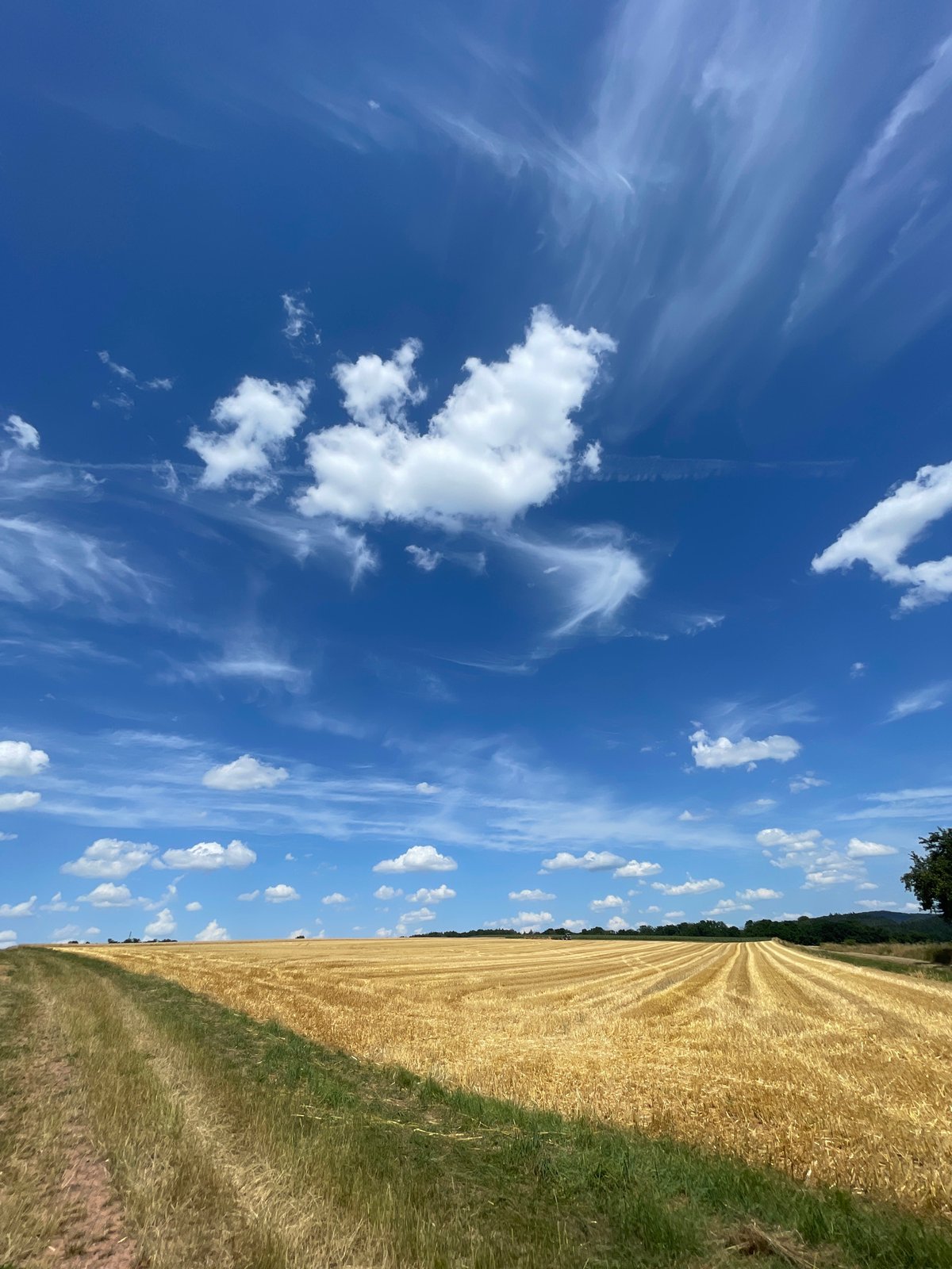 Summer afternoon in Röllshausen: fields, a ladybug, quiet streets.