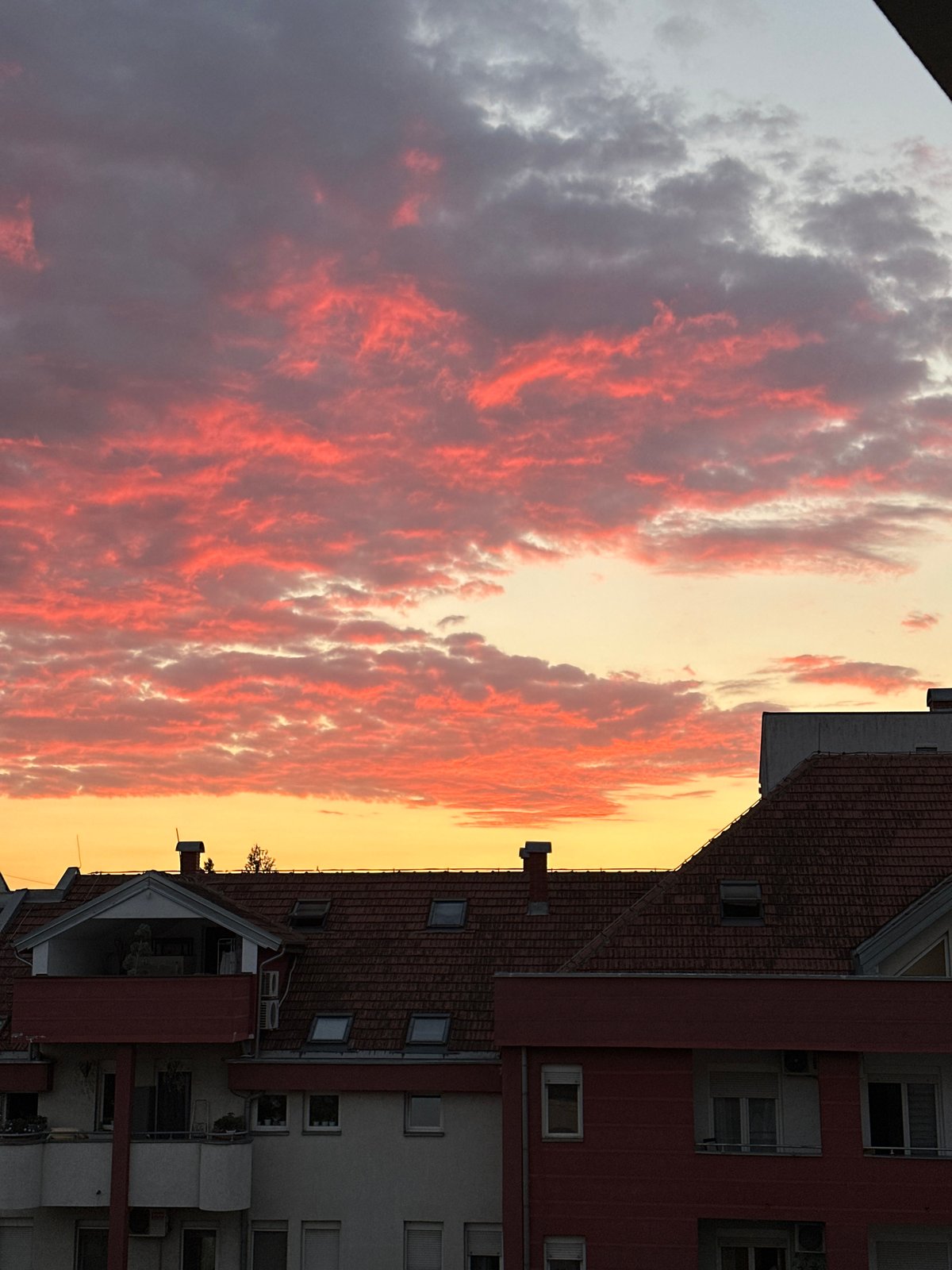 Pink and orange sunset clouds over Novi Sad rooftops