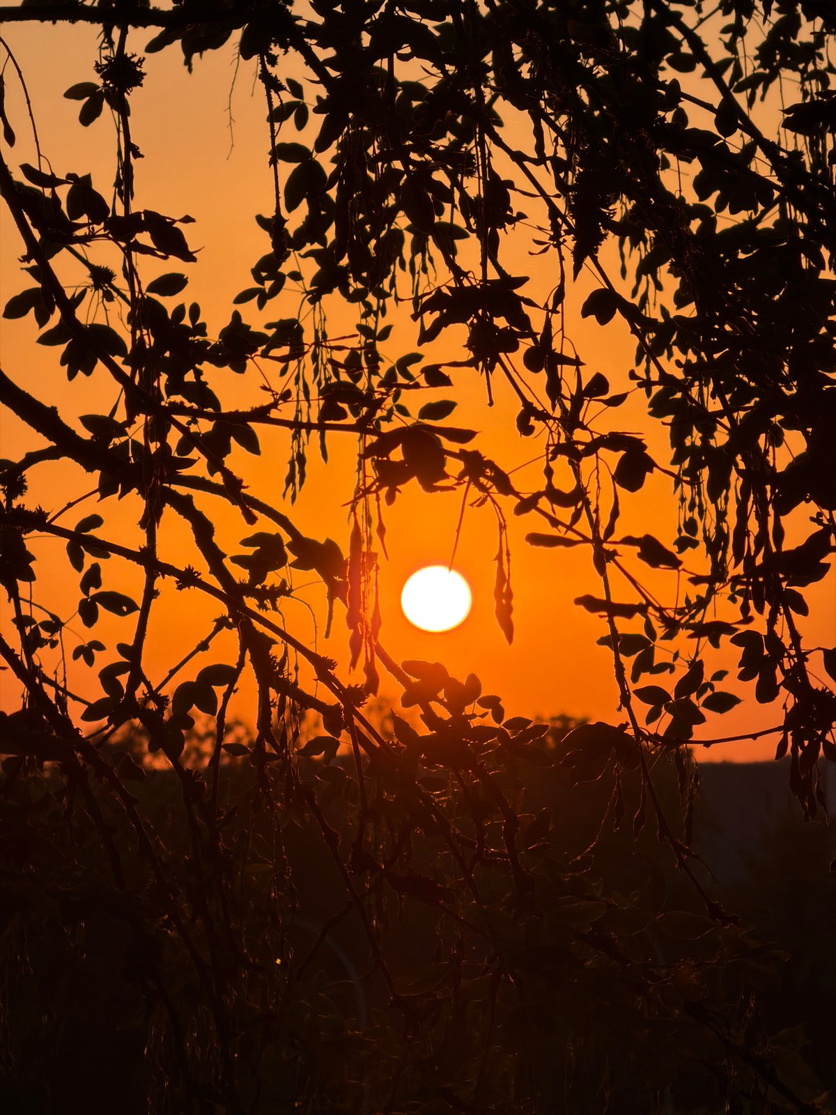 Sunset to moonrise over Leudelange, Luxembourg