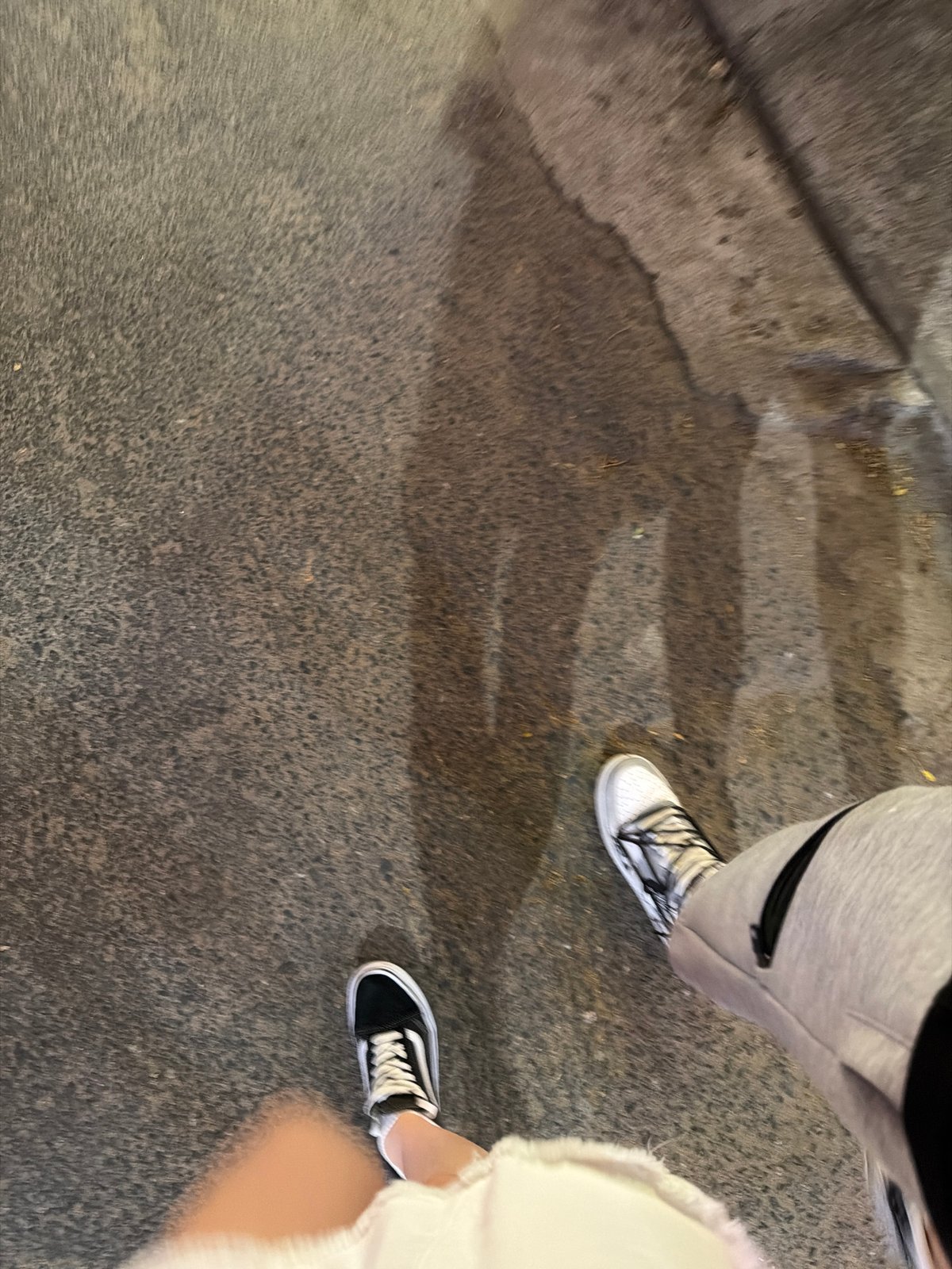 Two pedestrians spotted on Đà Nẵng street