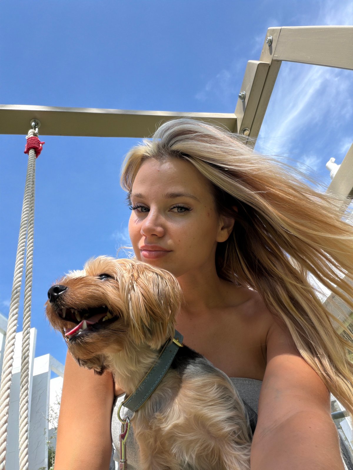 Sunny morning in Thailand with a Yorkshire Terrier