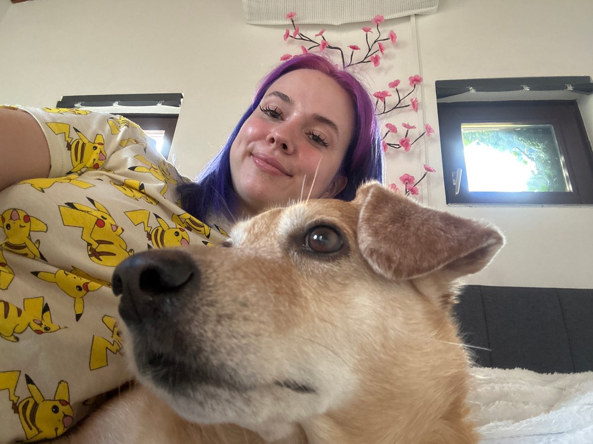 Woman with purple hair, dog photographed on blanket in Zagreb