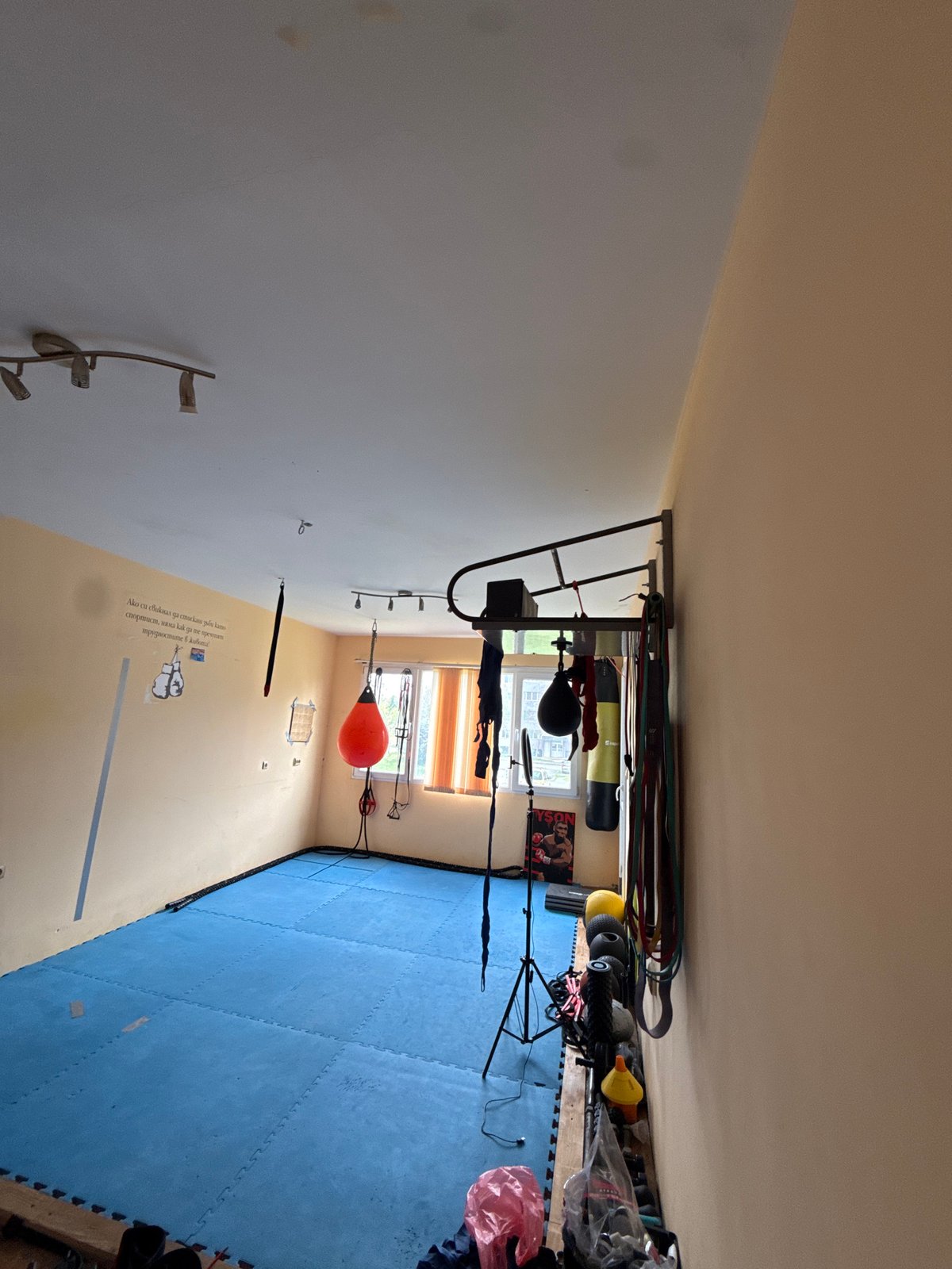 Animals observed at pet facility in Burgas, Bulgaria