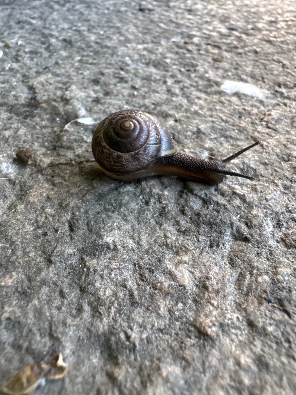 Fishing, insects, and urban canals on a Saint Petersburg afternoon