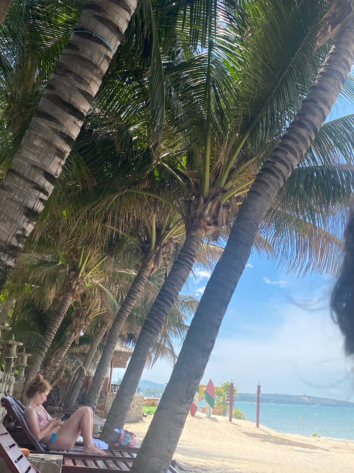 Beach holiday at a Vietnamese resort, palm trees and shoreline