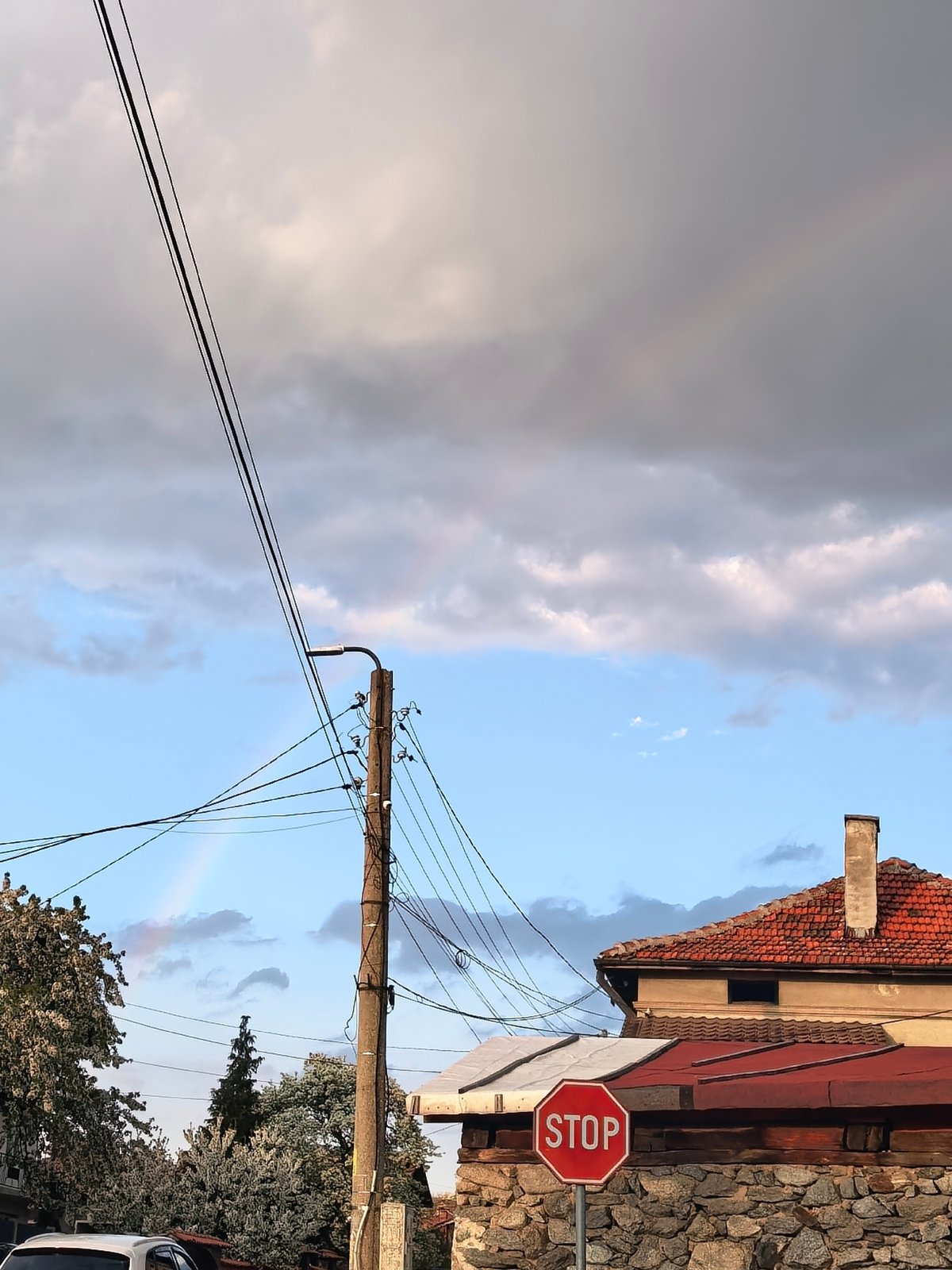 Afternoon drive captures storks, streets, and sunset skies