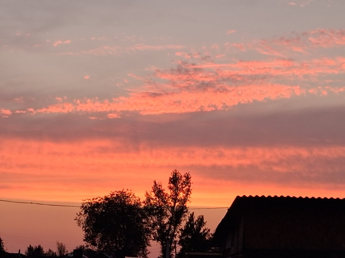 Semey sunset from a residential backyard, July 2026