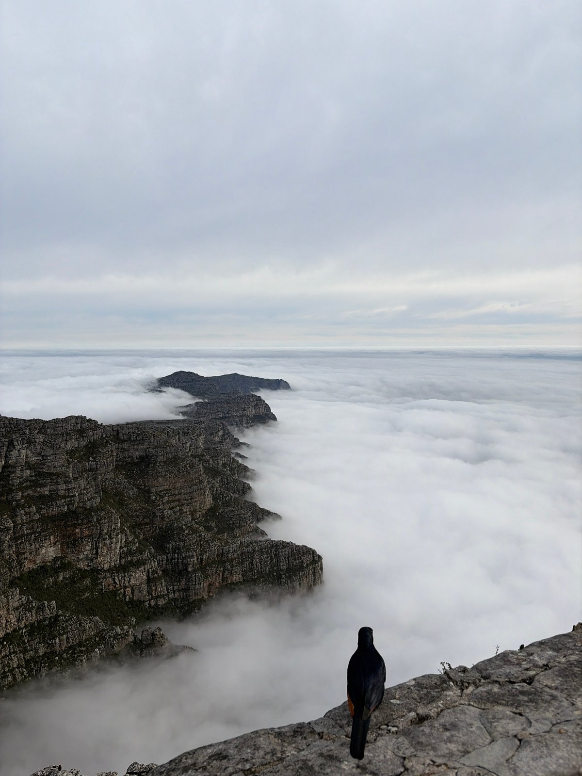 Dense fog blankets Cape Town valley viewed from Table Mountain