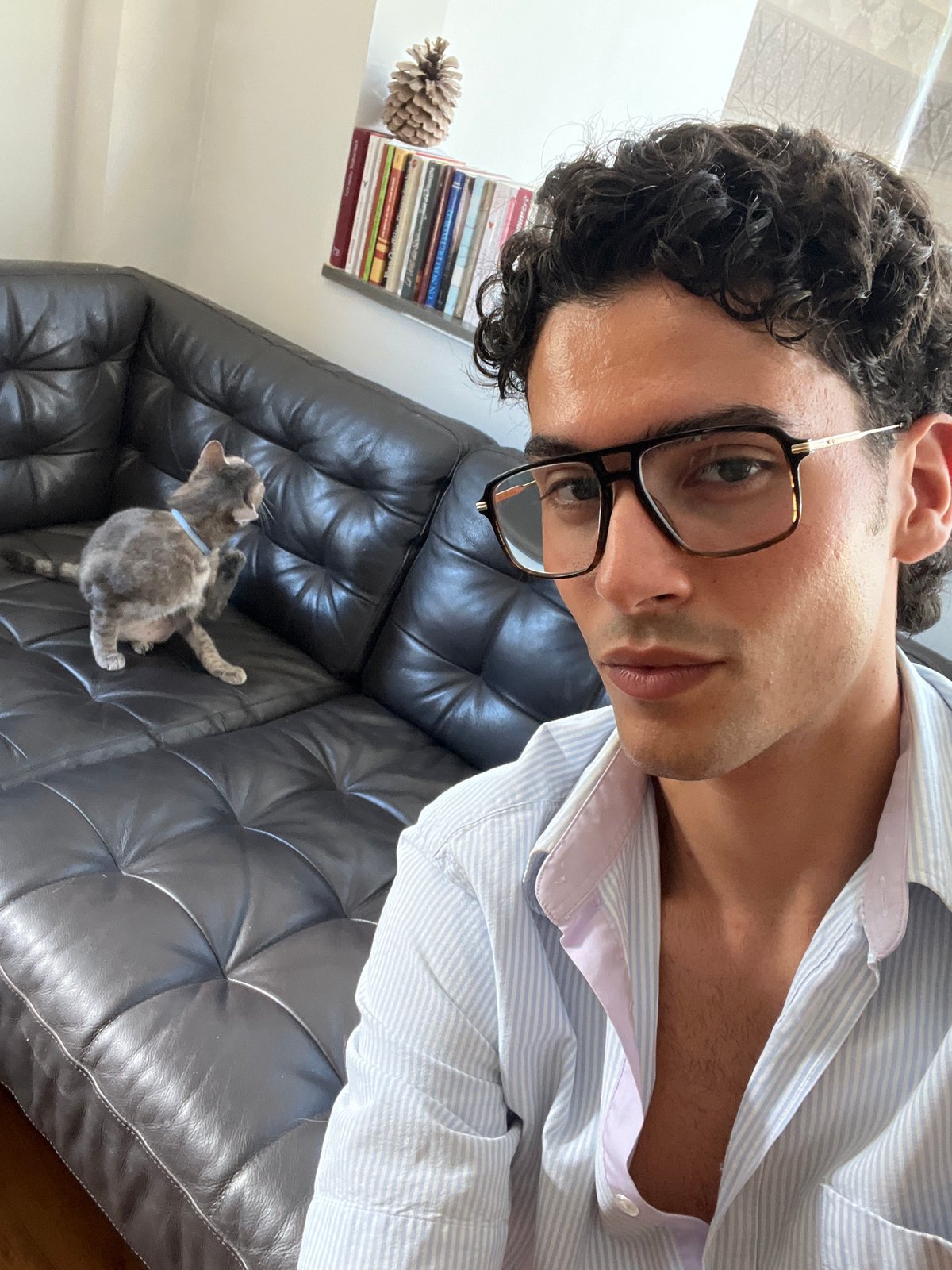 Lazy afternoon at home with a cat and a yogurt bowl