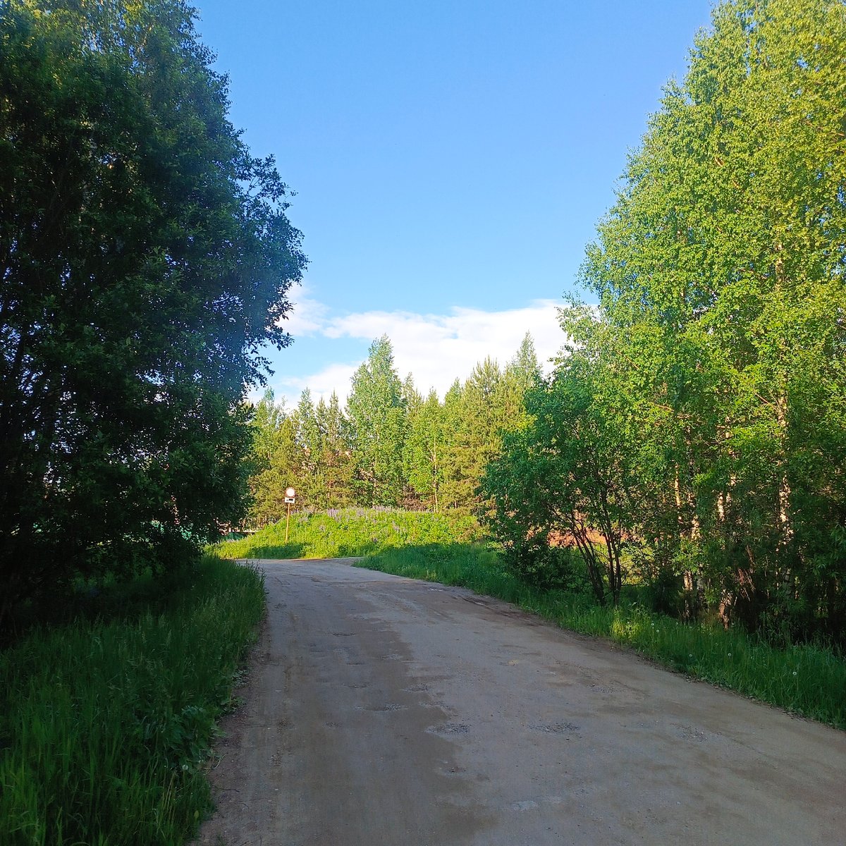 Rural dirt road captured in sunny Марковский countryside