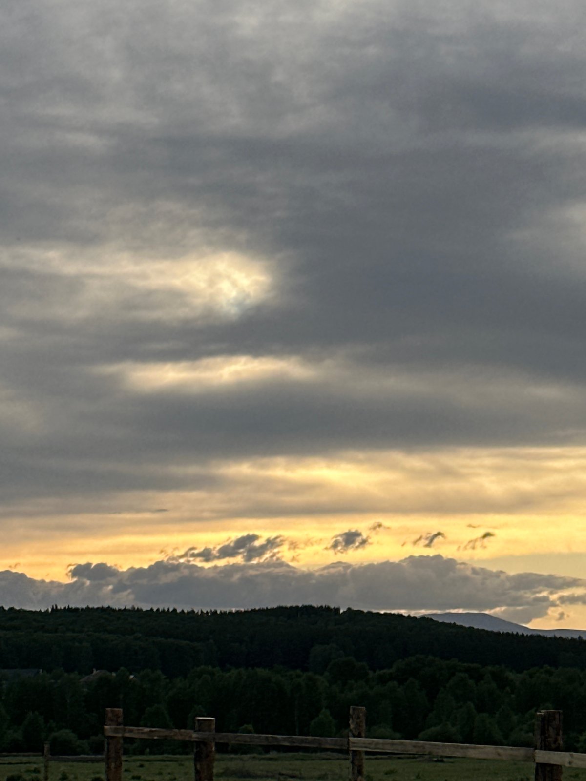 Spring evening captured: blooming flowers and dramatic sunset skies