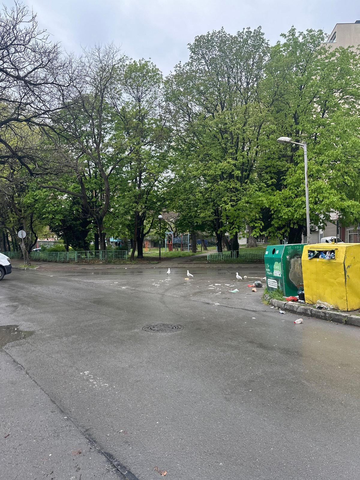 Wet streets documented in residential Varna neighborhood after rain