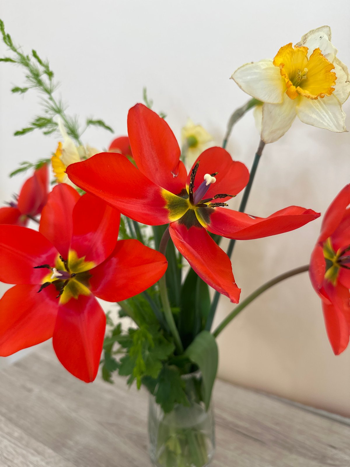 Spring flower arrangement observed on table in Sofia