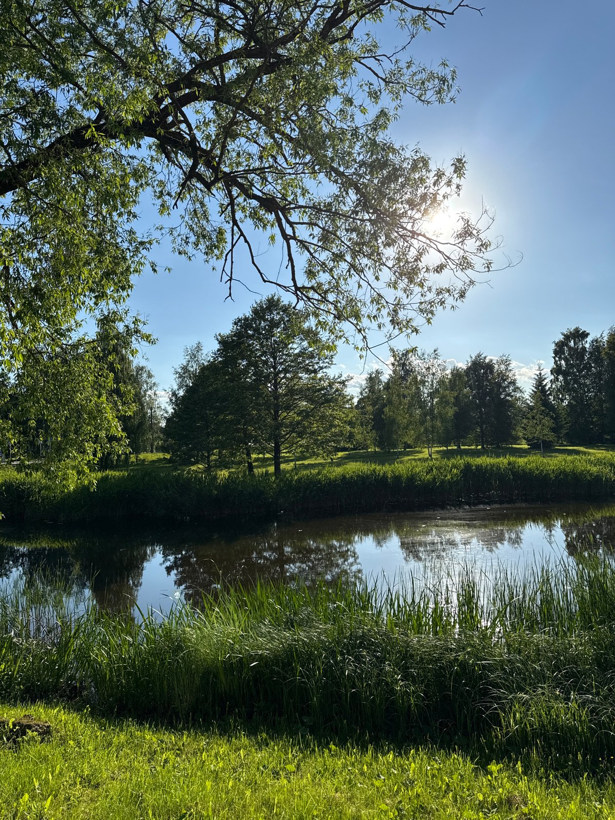 Leisurely park visit documented in Biržai, Lithuania