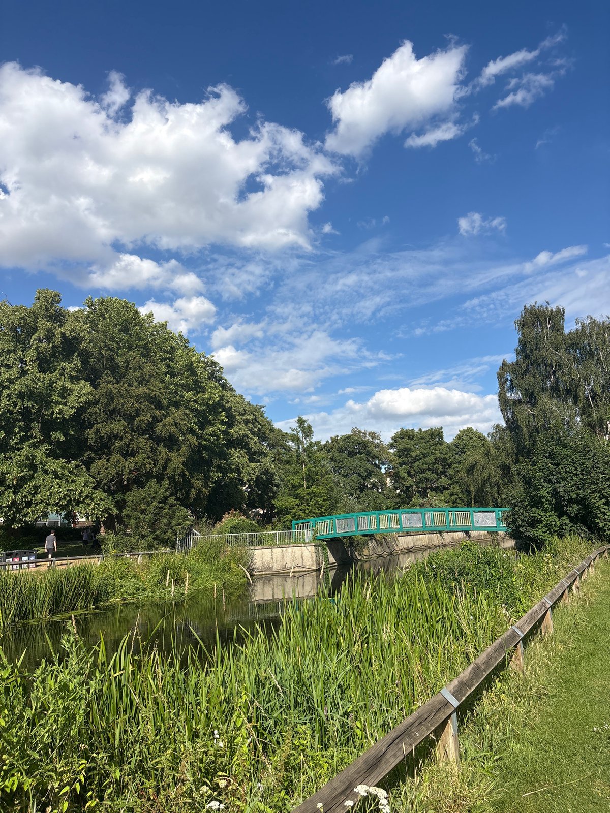 Afternoon stroll through a green urban park with water and art