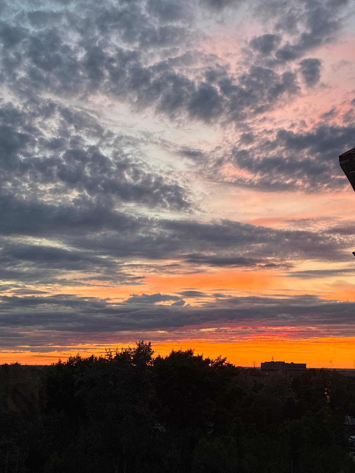 Vivid sunset over a dark forest silhouette